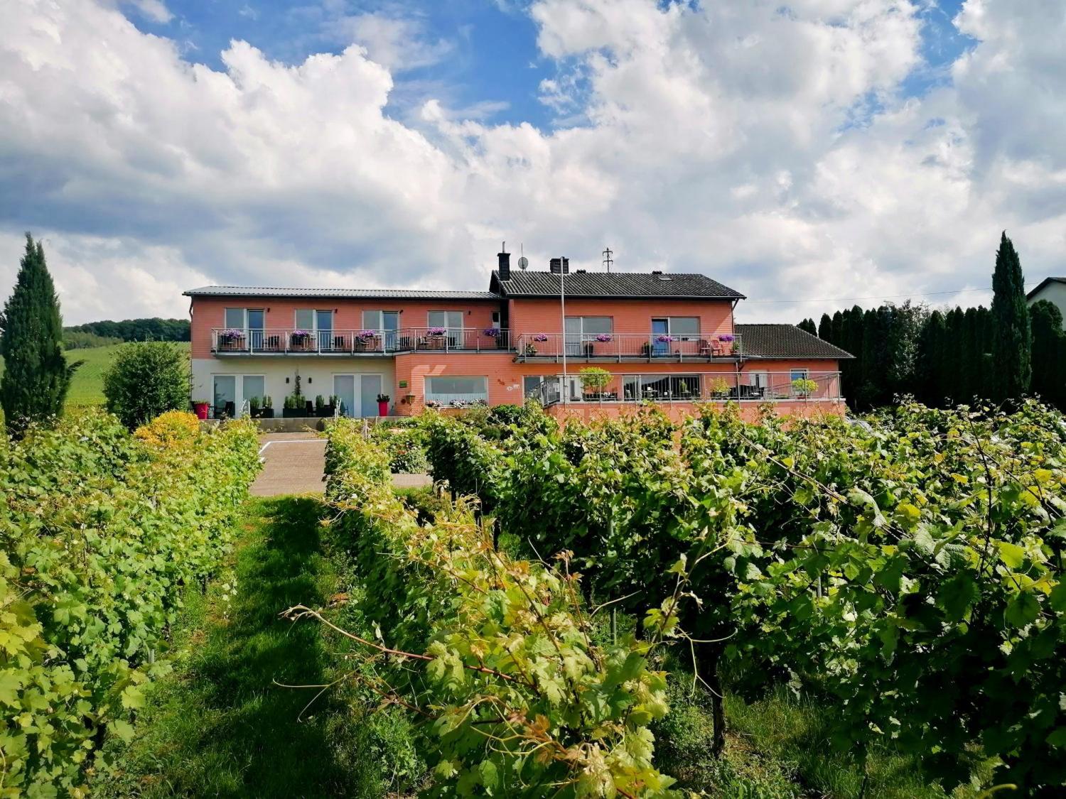 Weingut Tiliahof photo 1