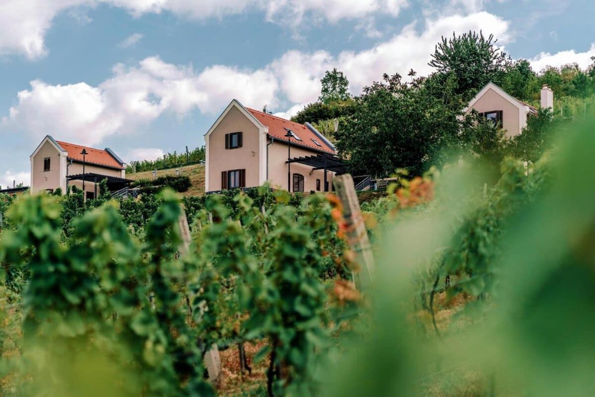 Winery Hotel - 5 House Winery - Perfect Chill4