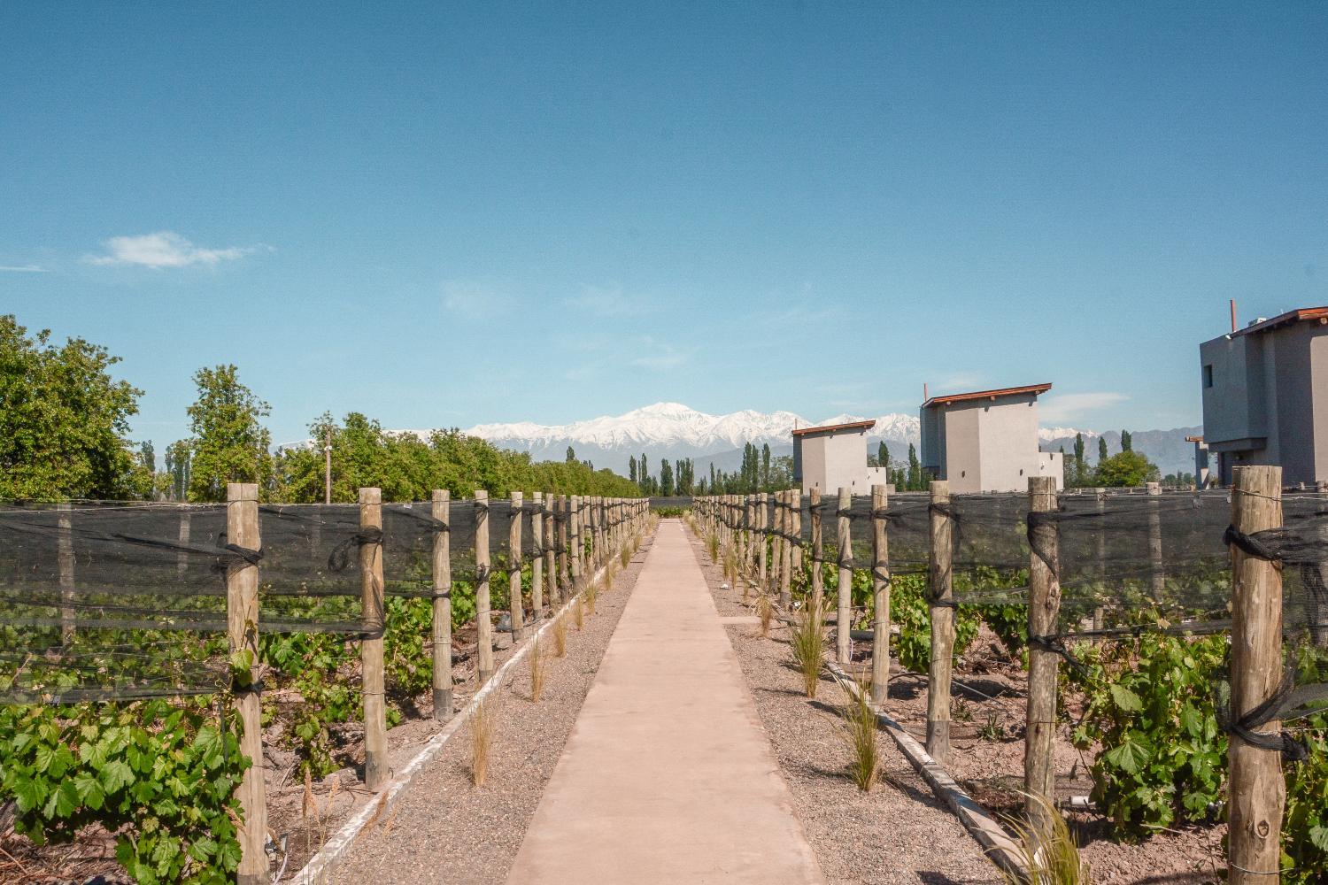 Winery Hotel - Agrelo Vines Lodge2