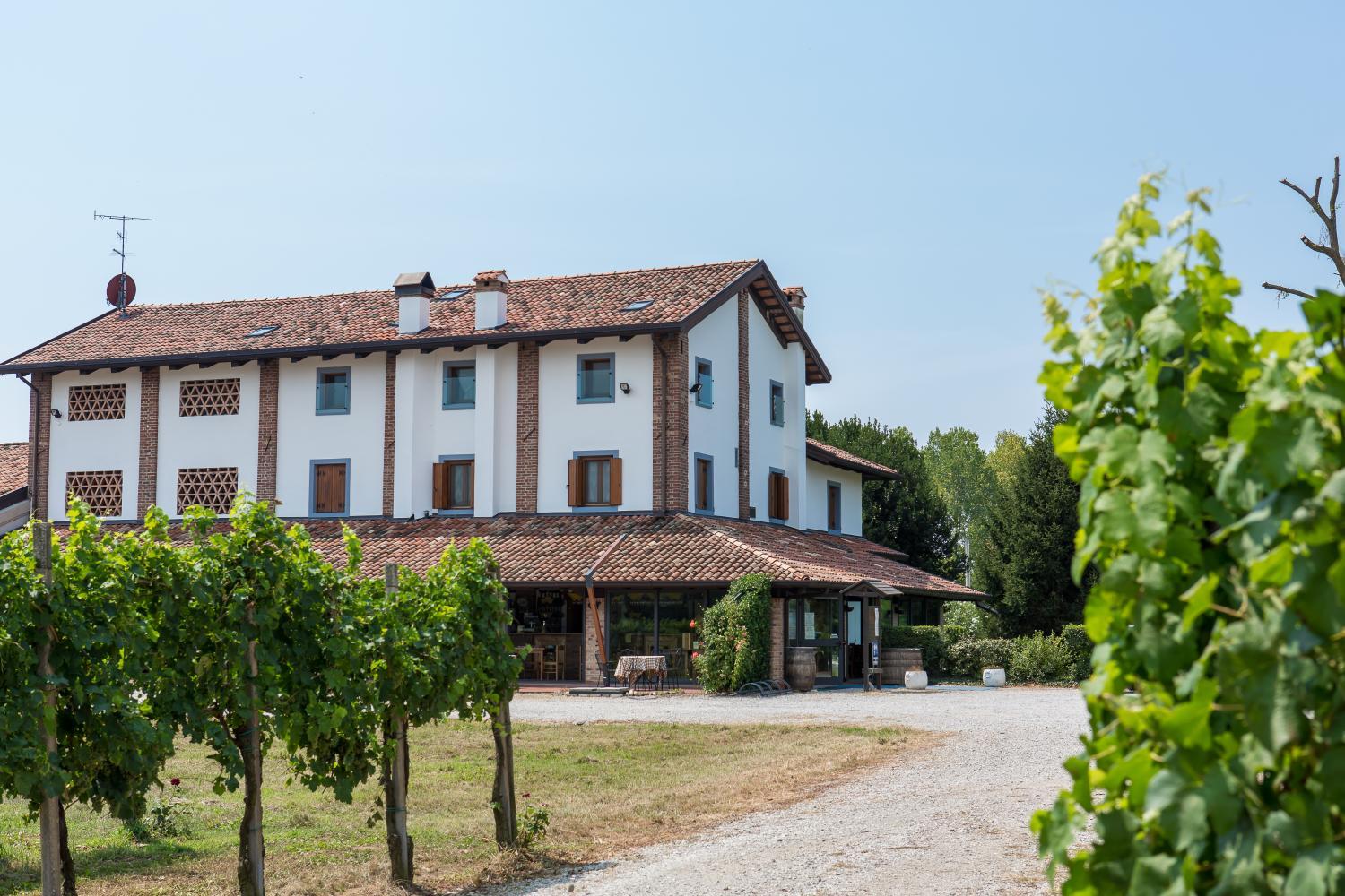 Hotel with winery - Agriturismo Cjasal di Pition
