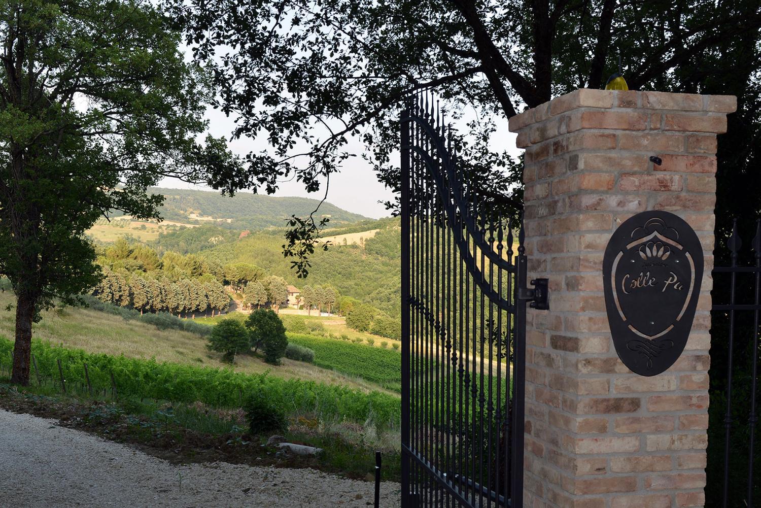 Agriturismo Colle Pu photo 3