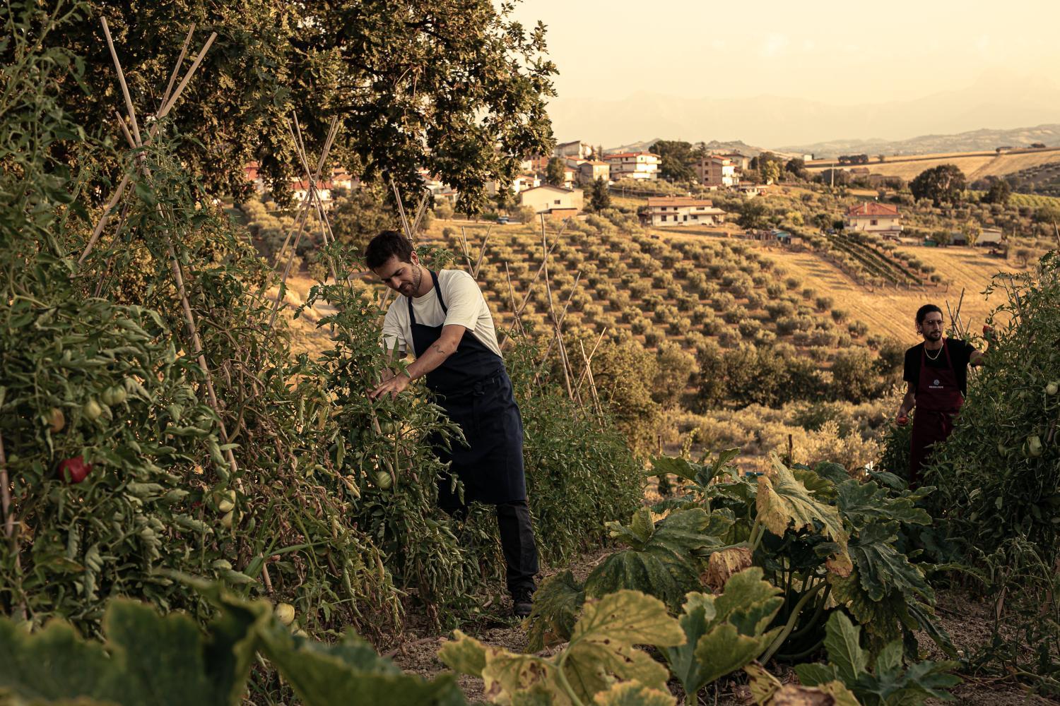 Winery Hotel - Agriturismo Emidio Pepe3