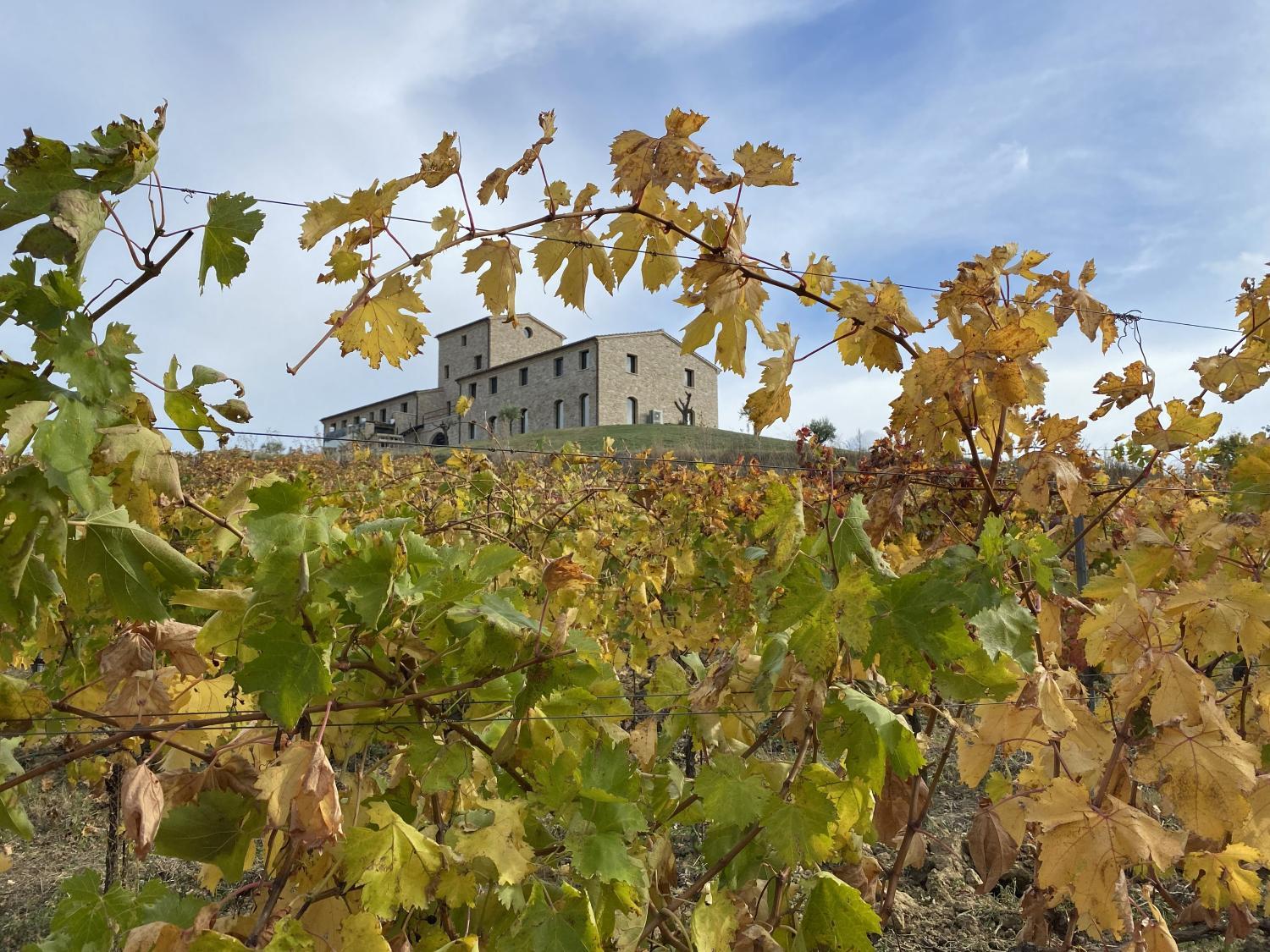 Agriturismo Il Borghetto photo 1