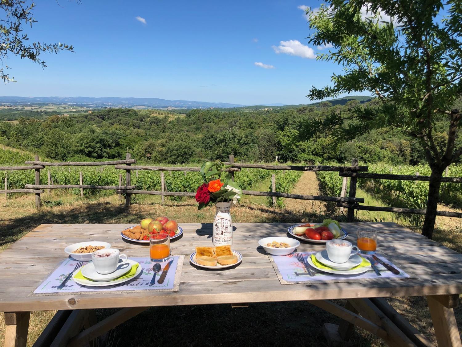 Winery Hotel - Agriturismo Oliviera Winery & Hiking4