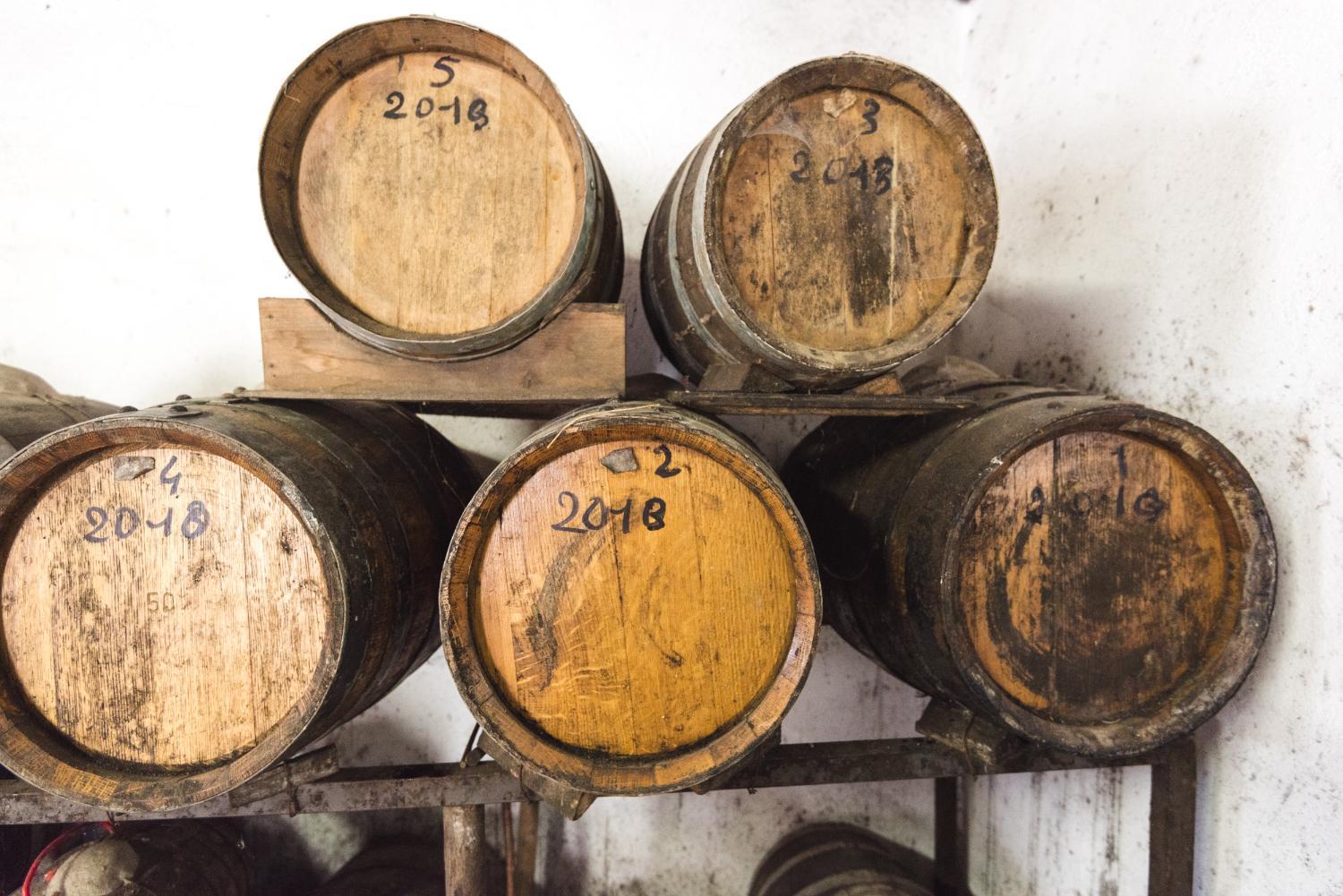 Winery Hotel - Agriturismo Podere San Gregorio2