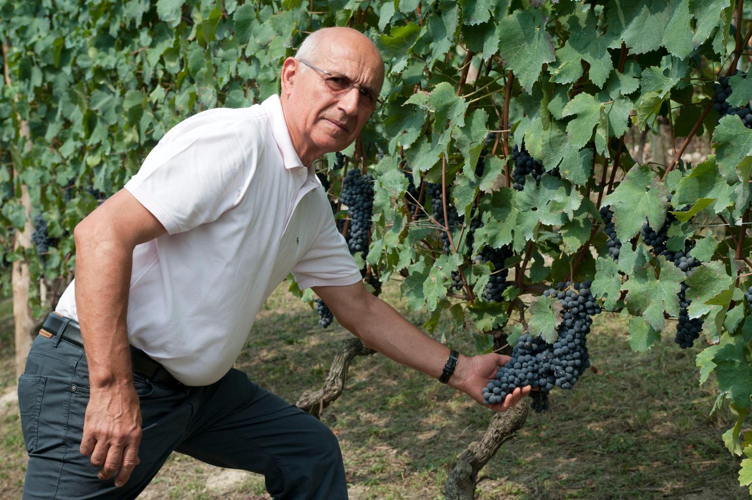 Winery Hotel - Agriturismo Rivella2