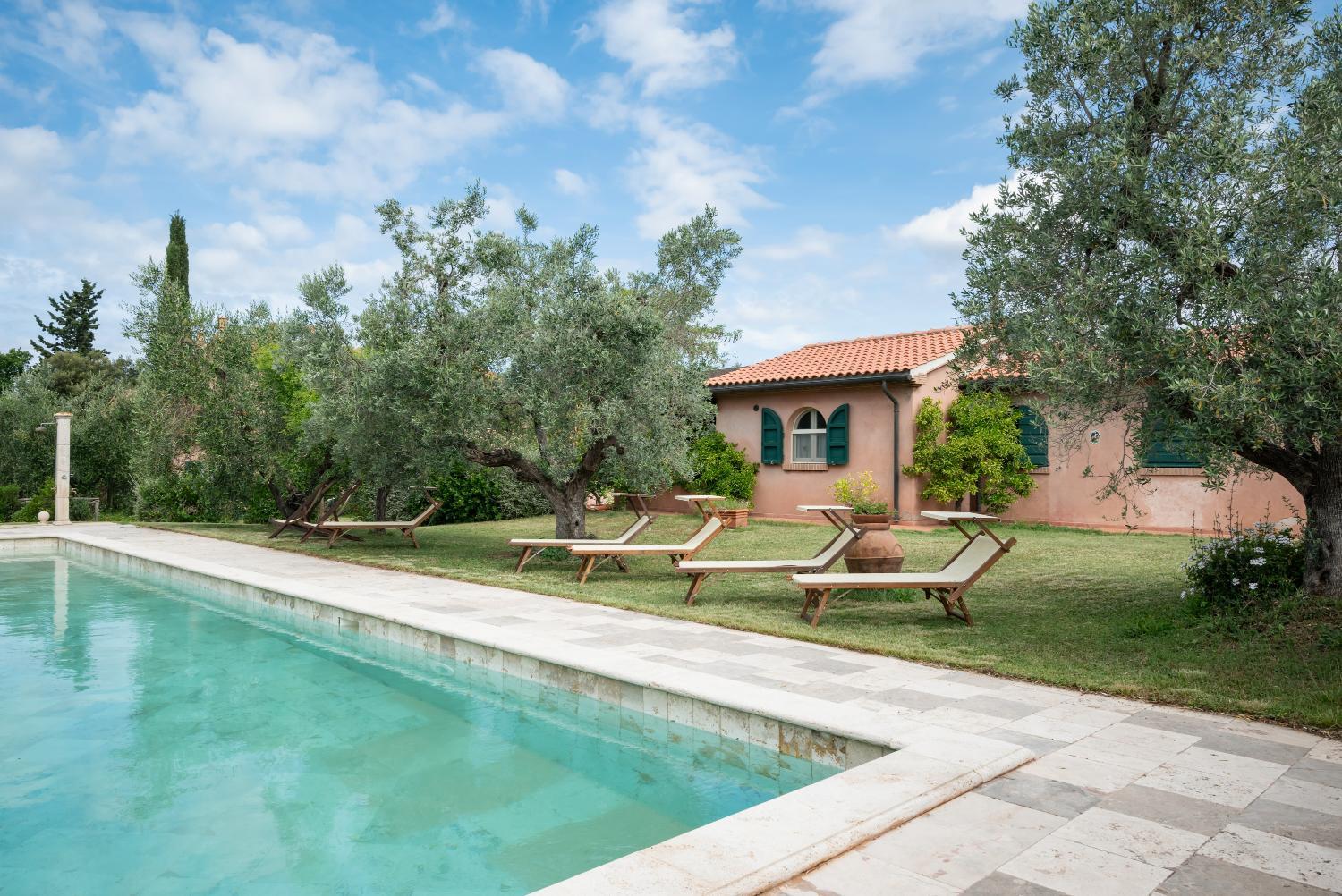 Winery Hotel - Agriturismo Tra gli Ulivi, Chiappini Winery4