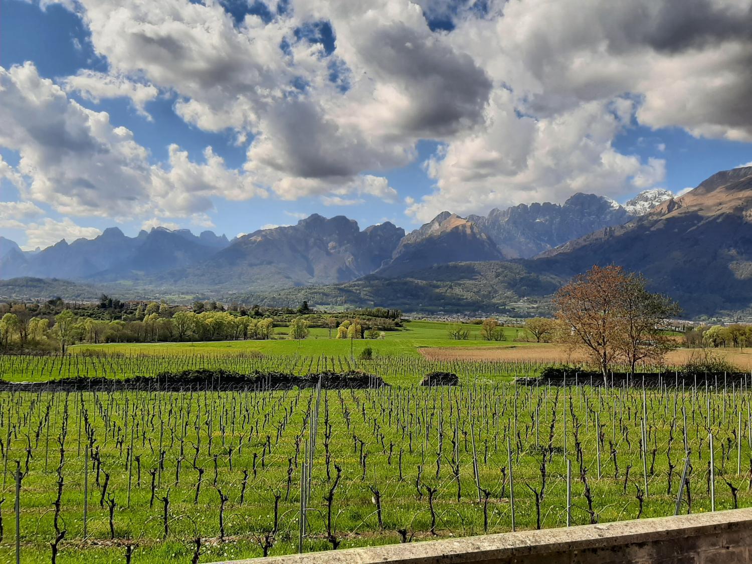Agriturismo Villa di Modolo - Cortile della Latteria photo 4