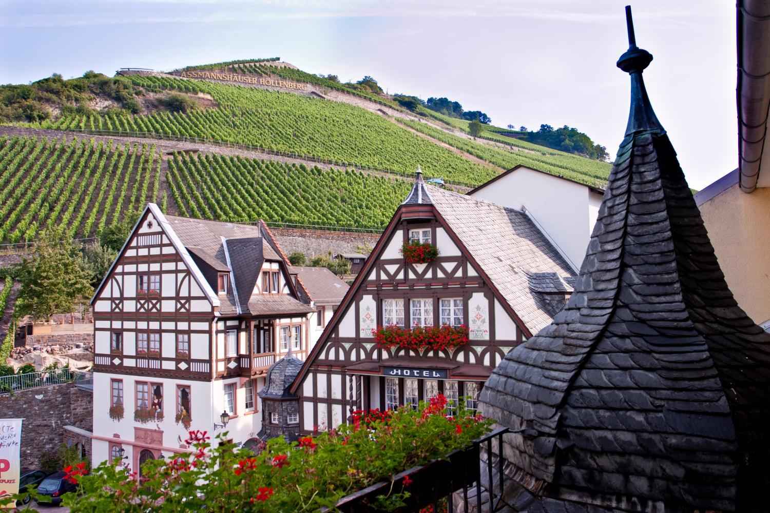 Hotel with winery - AKZENT Hotel Berg's Alte Bauernschänke- Wellness und Wein