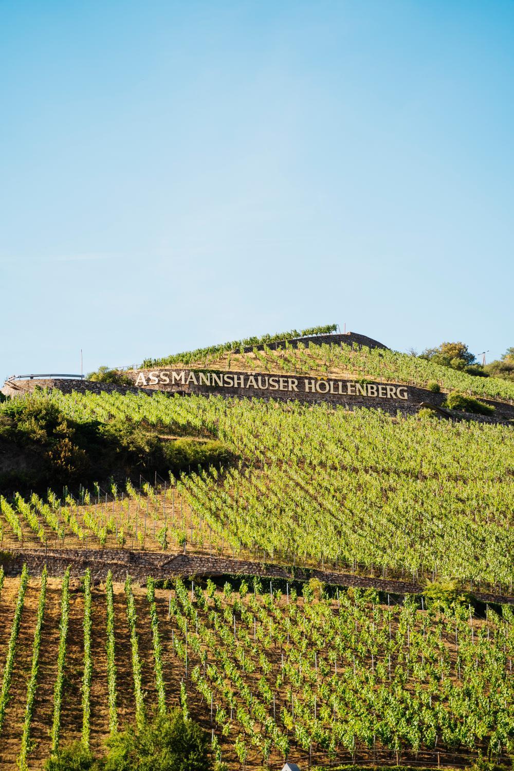 Winery Hotel - AKZENT Hotel Berg's Alte Bauernschänke- Wellness und Wein4