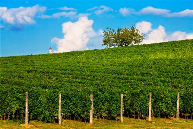 Albergo l'Ostelliere - Villa Sparina Resort photo 2