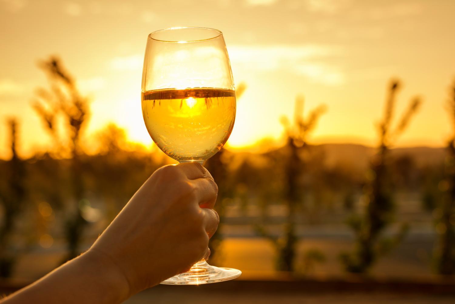 Winery Hotel - Allegretto Vineyard Resort Paso Robles4