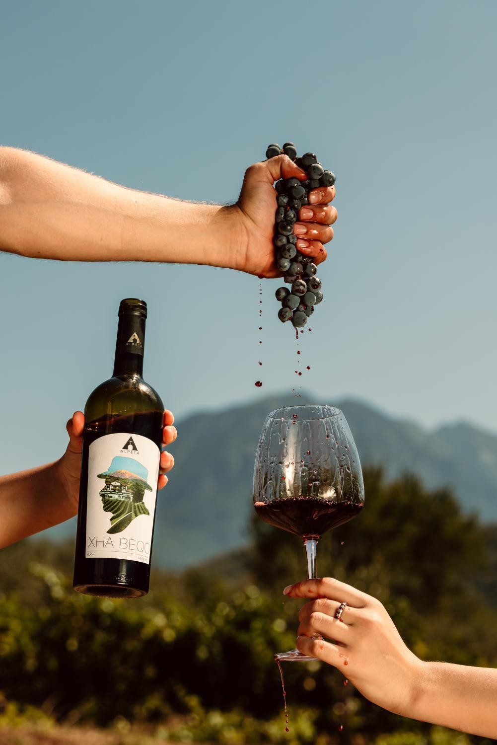 Winery Hotel - Alpeta Agrotourism & Winery5