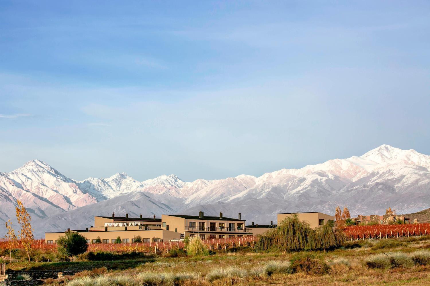 Hotel with winery - Auberge Du Vin, a Tribute Portfolio Hotel