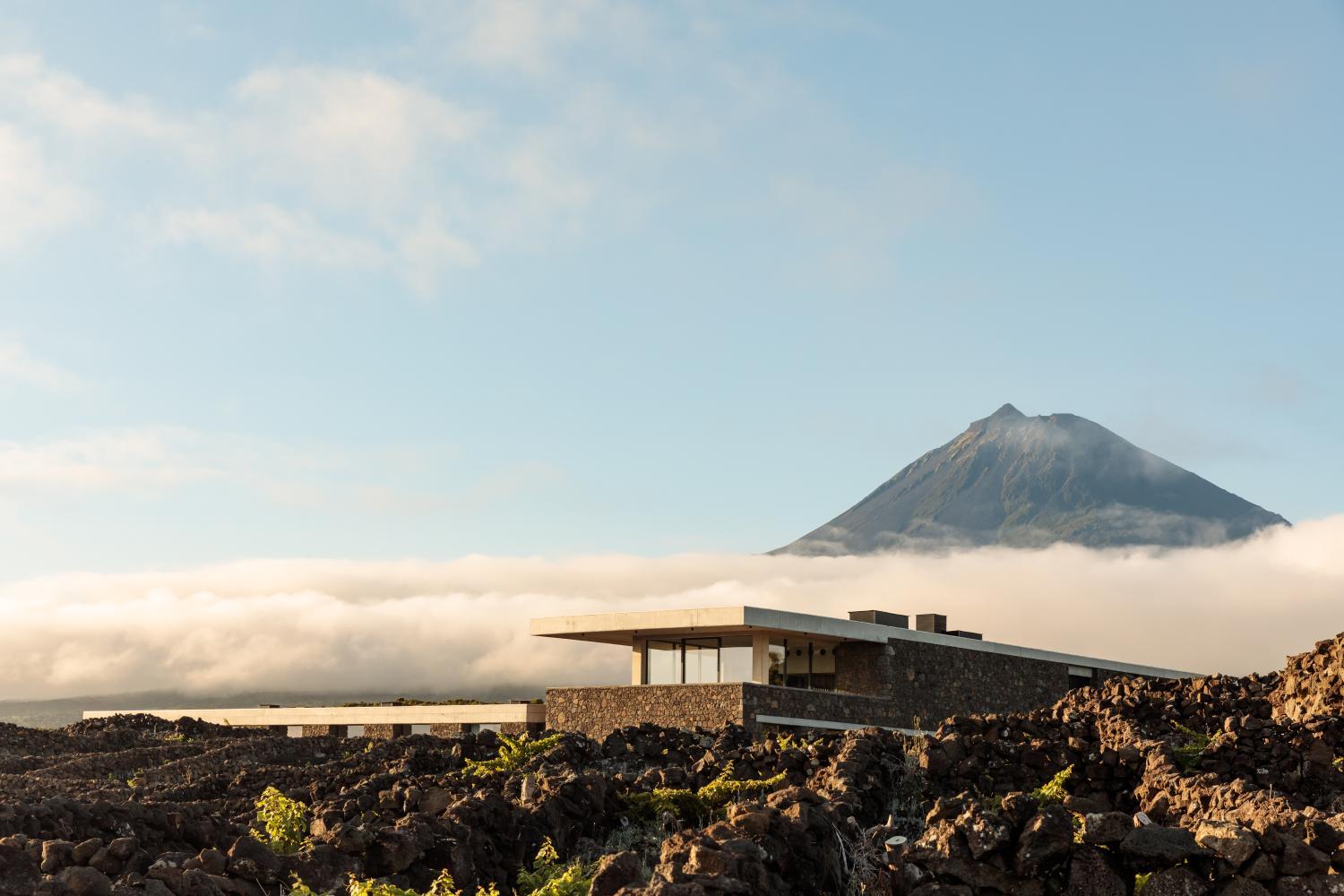 Winery Hotel - Azores Wine Company1