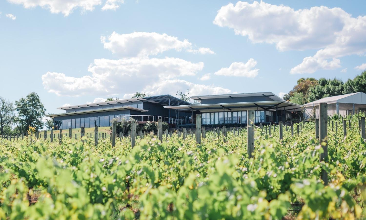 Hotel with winery - Balgownie Estate Yarra Valley