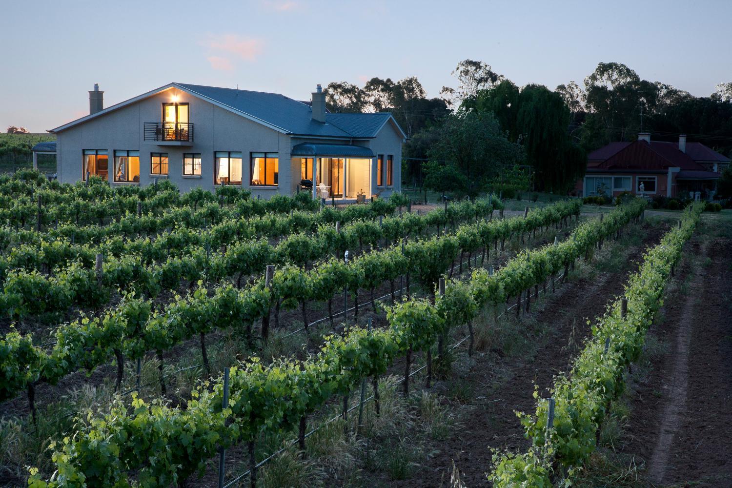 Barossa Shiraz Estate photo 2