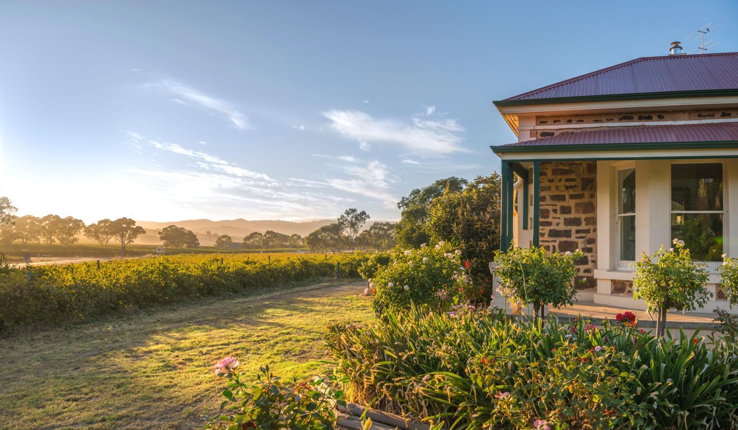 Barossa Shiraz Estate photo 3