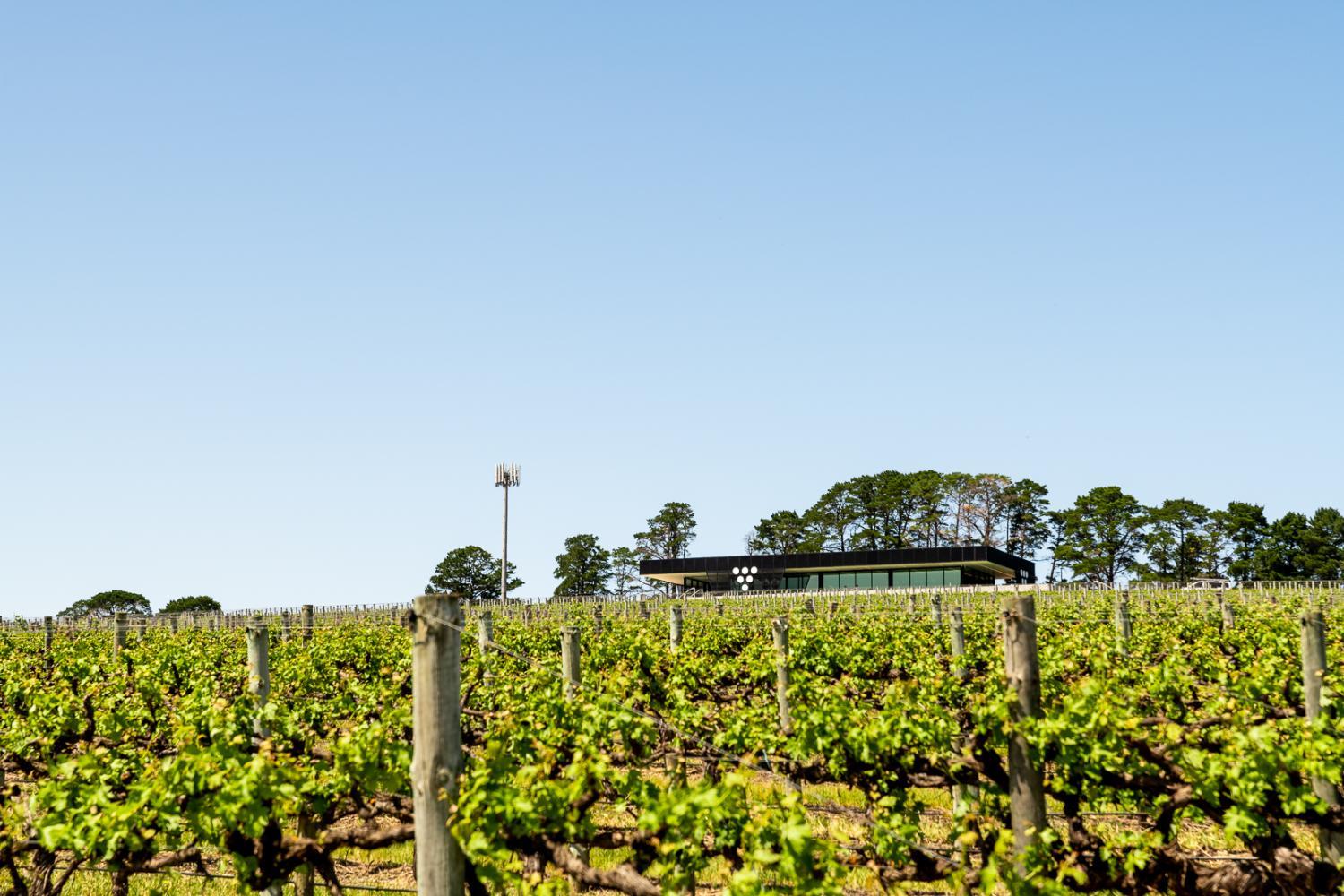 Winery Hotel - Beresford Estate3