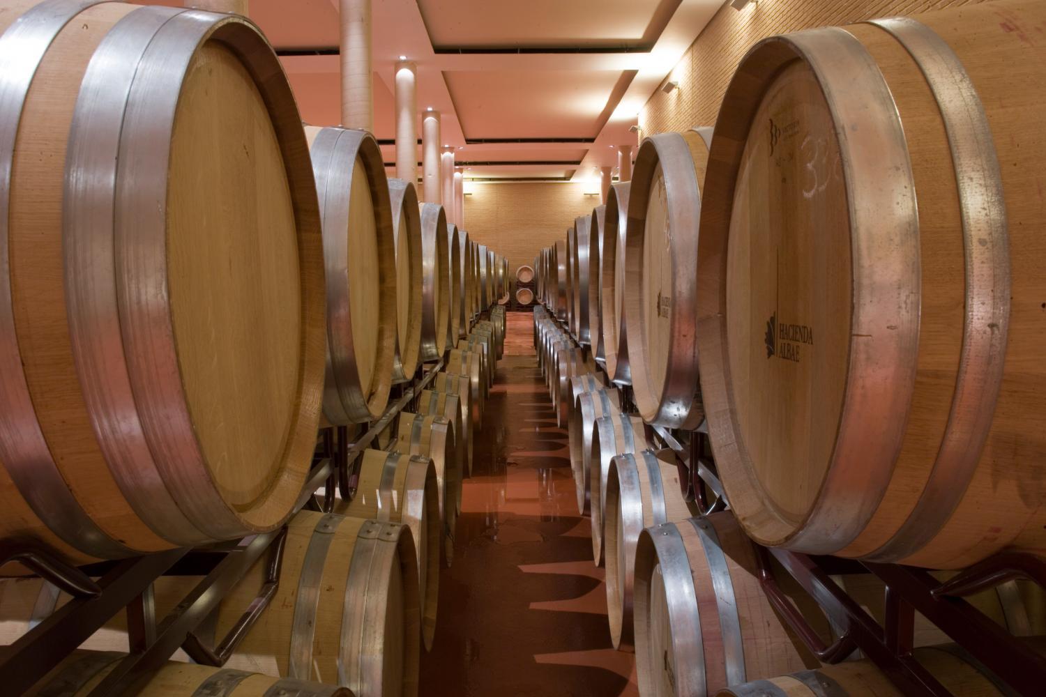 Winery Hotel - Bodegas Hacienda Albae4