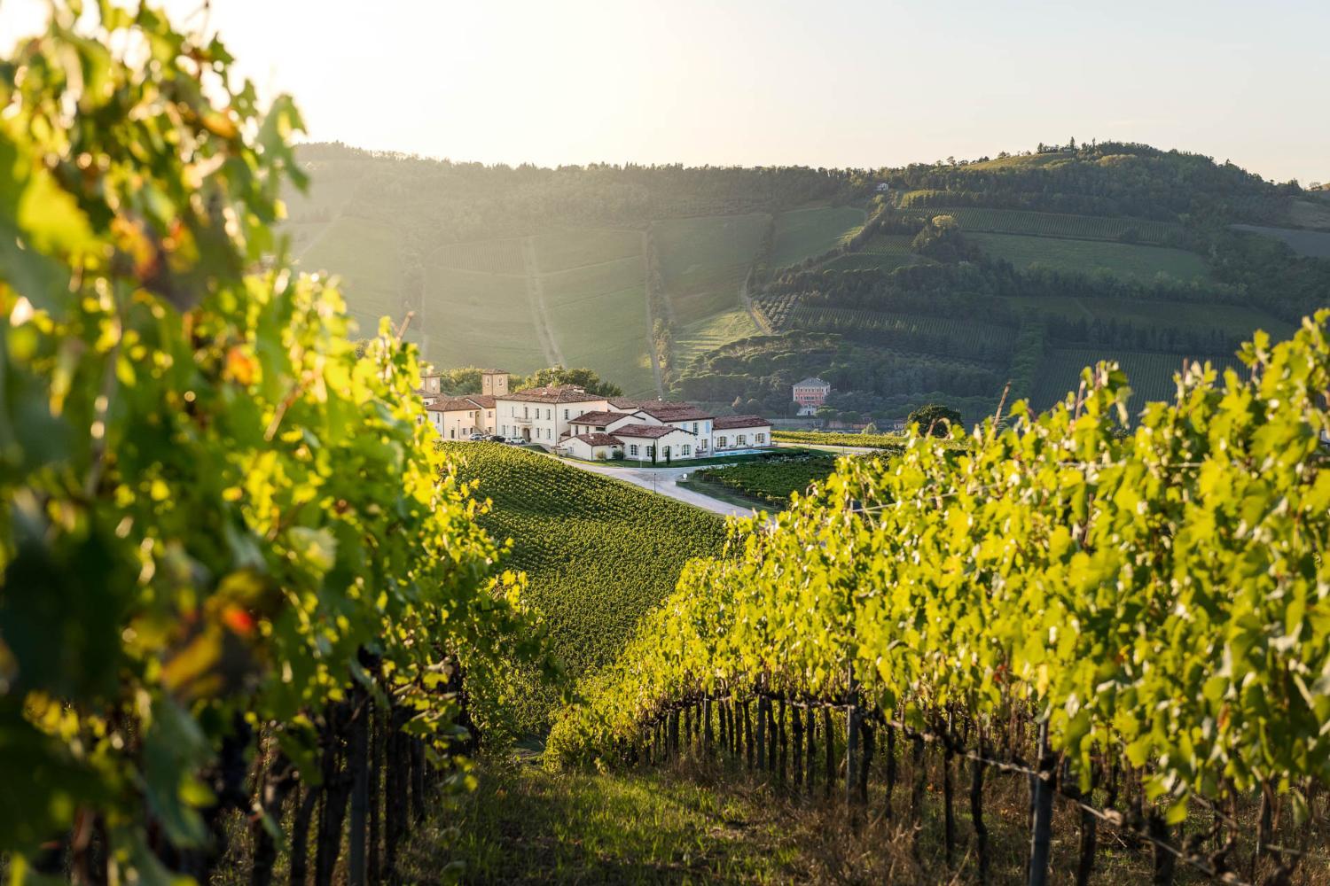 Borgo Conde Wine Resort photo 4