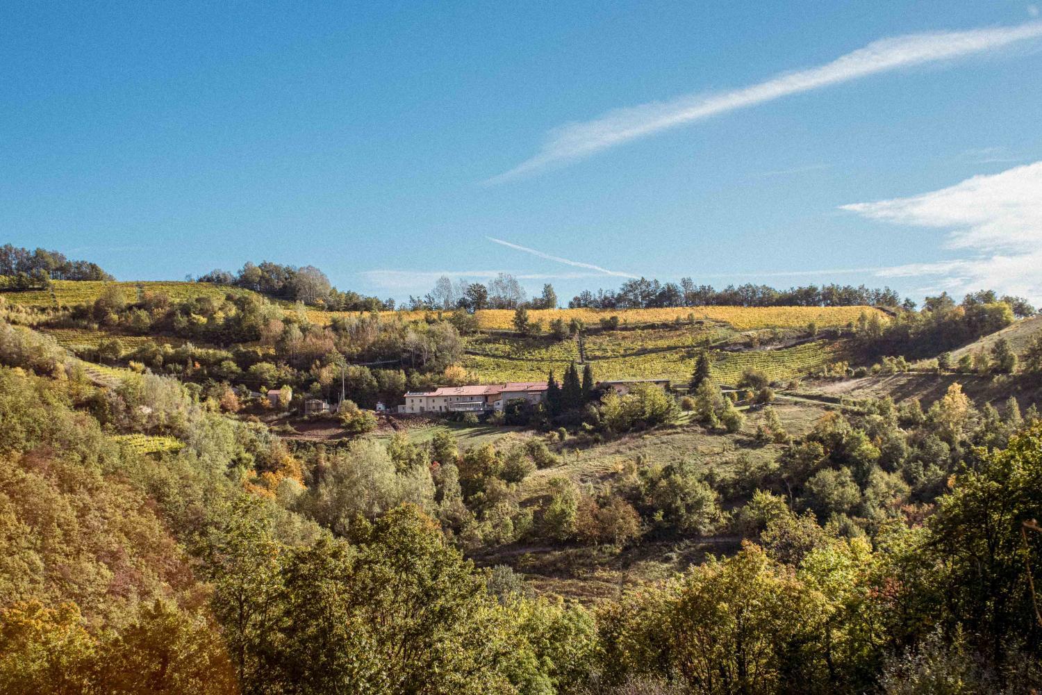 Borgo Isolabella - Wine & Vermouth Relais photo 2