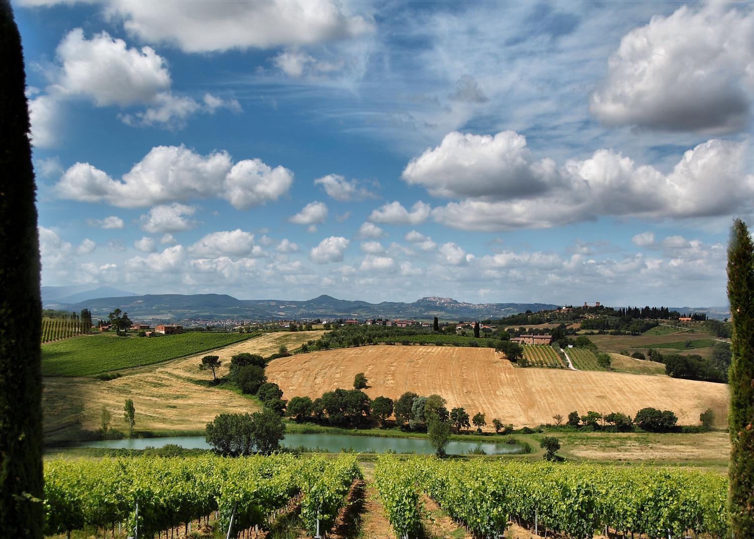 Winery Hotel - Borgo Tre Rose2