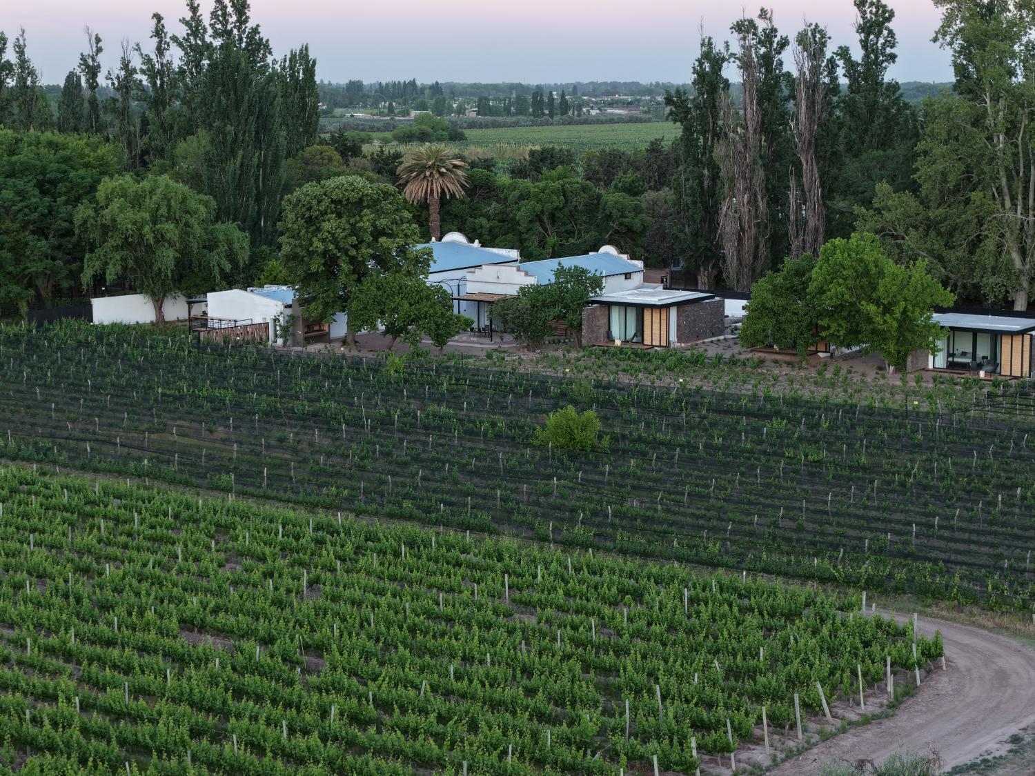 Boutique Hotel Bodega CICLO ANDINO photo 3