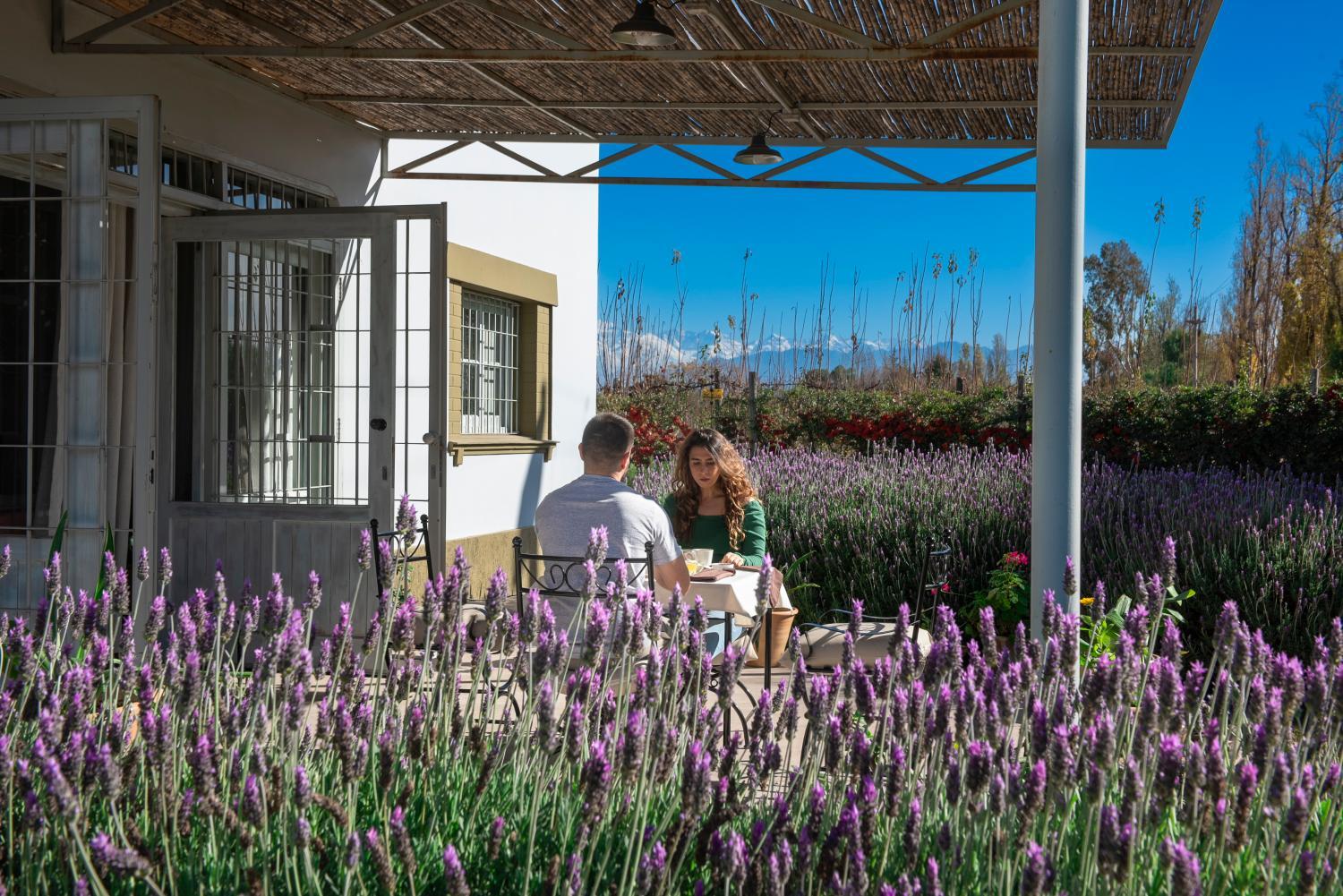 Hotel with winery - Boutique Vineyard and Wine Lodge