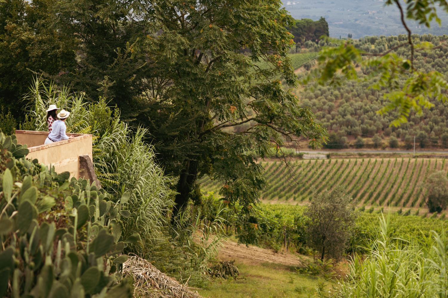 Boutique Wine Resort - Villa Dianella photo 2