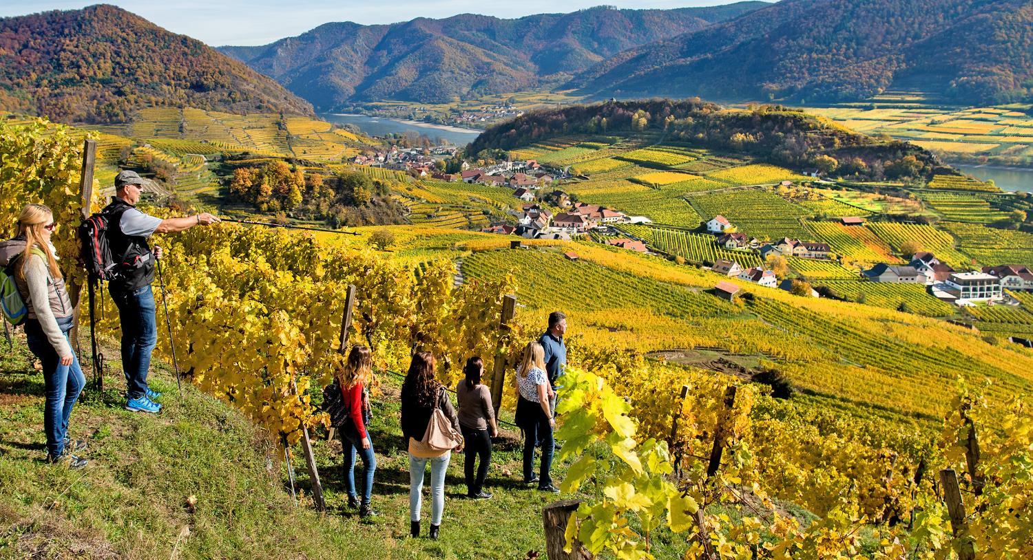 Boutiquehotel WEINSPITZ photo 3