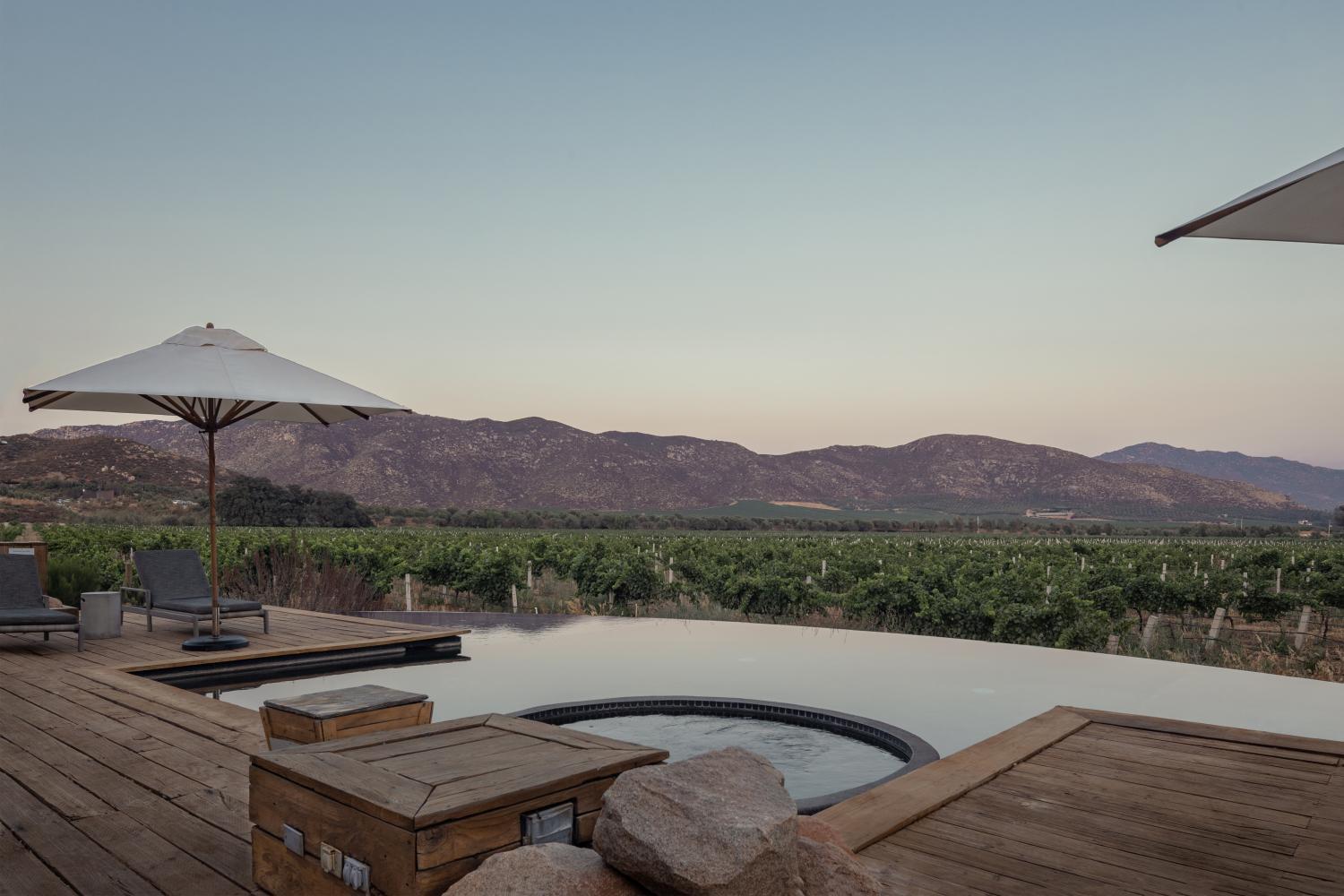 Hotel with winery - Bruma Wine Resort