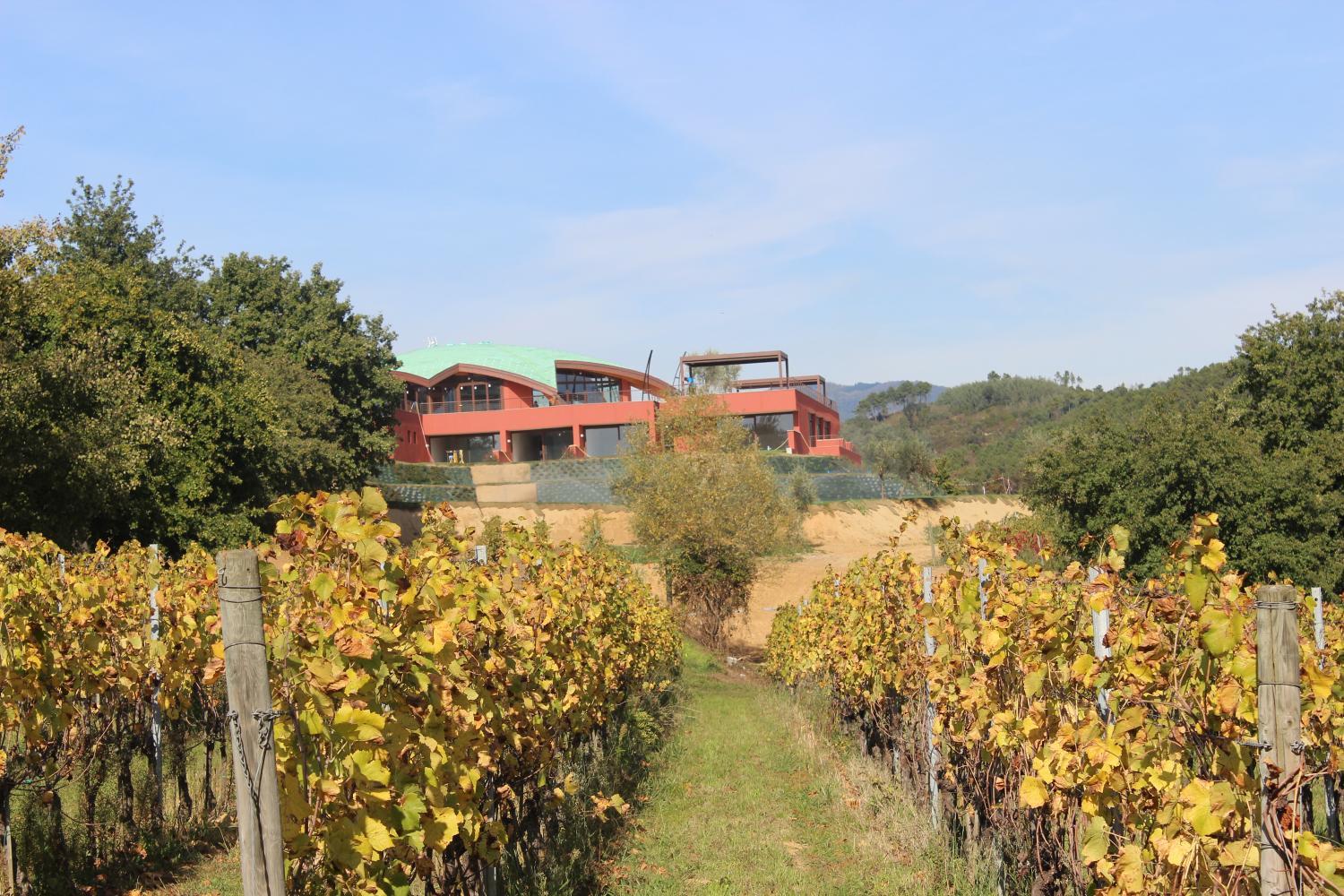 Winery Hotel - Buonamico Wine Resort4