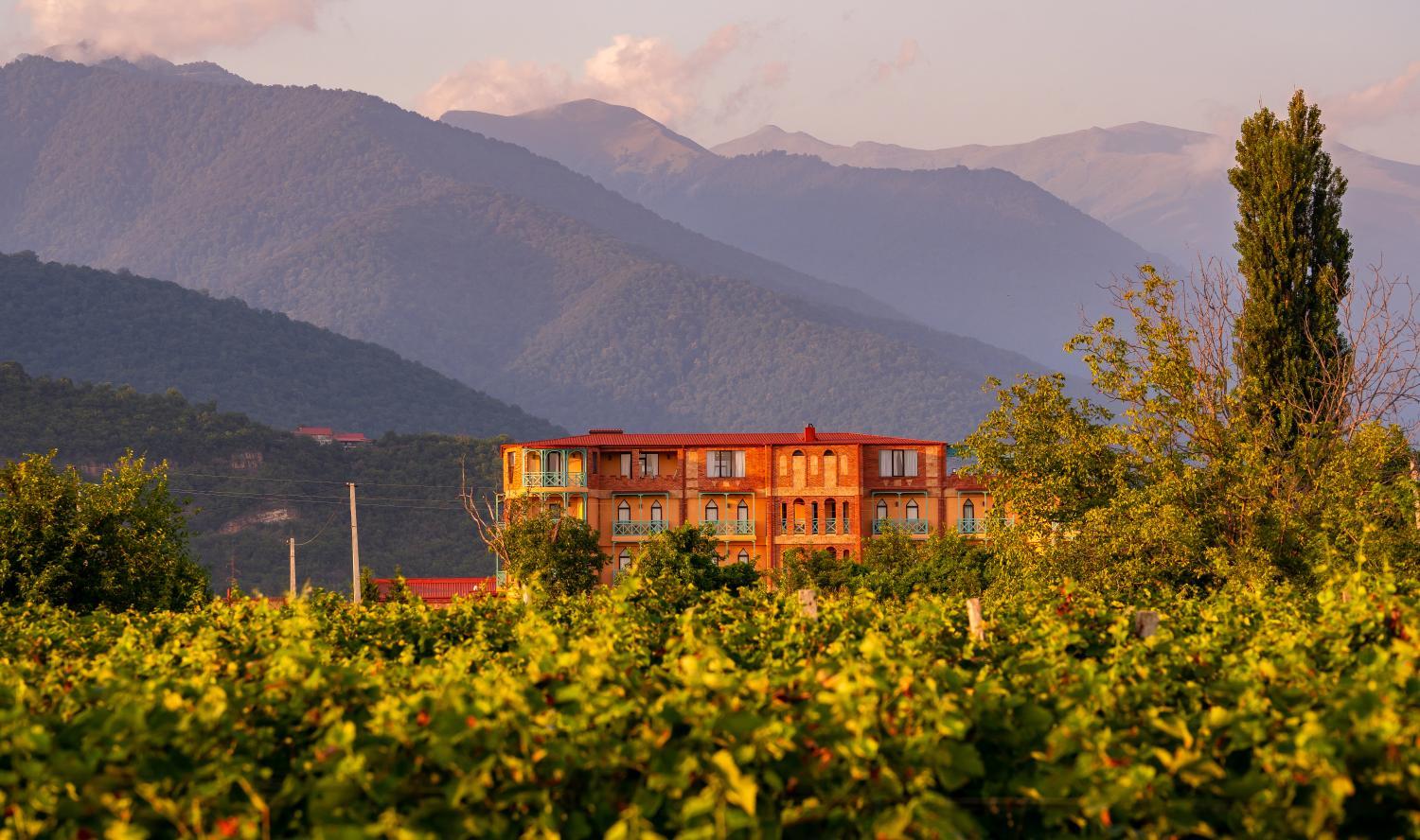 Hotel with winery - Burki Castle & Cellar