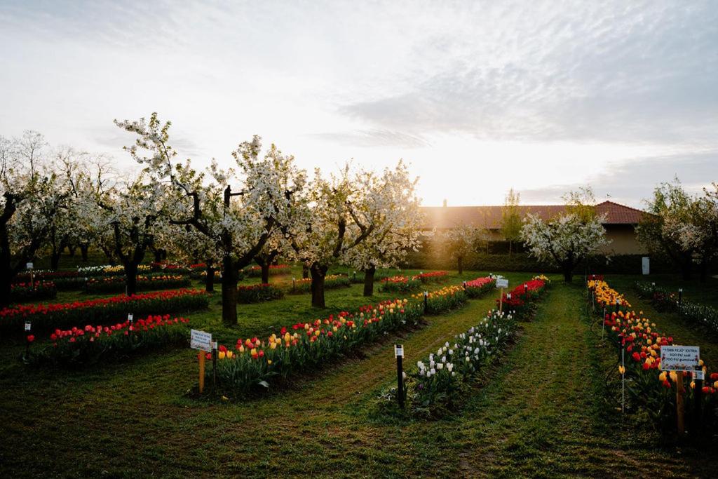 Winery Hotel - BÉNI family wine farm4