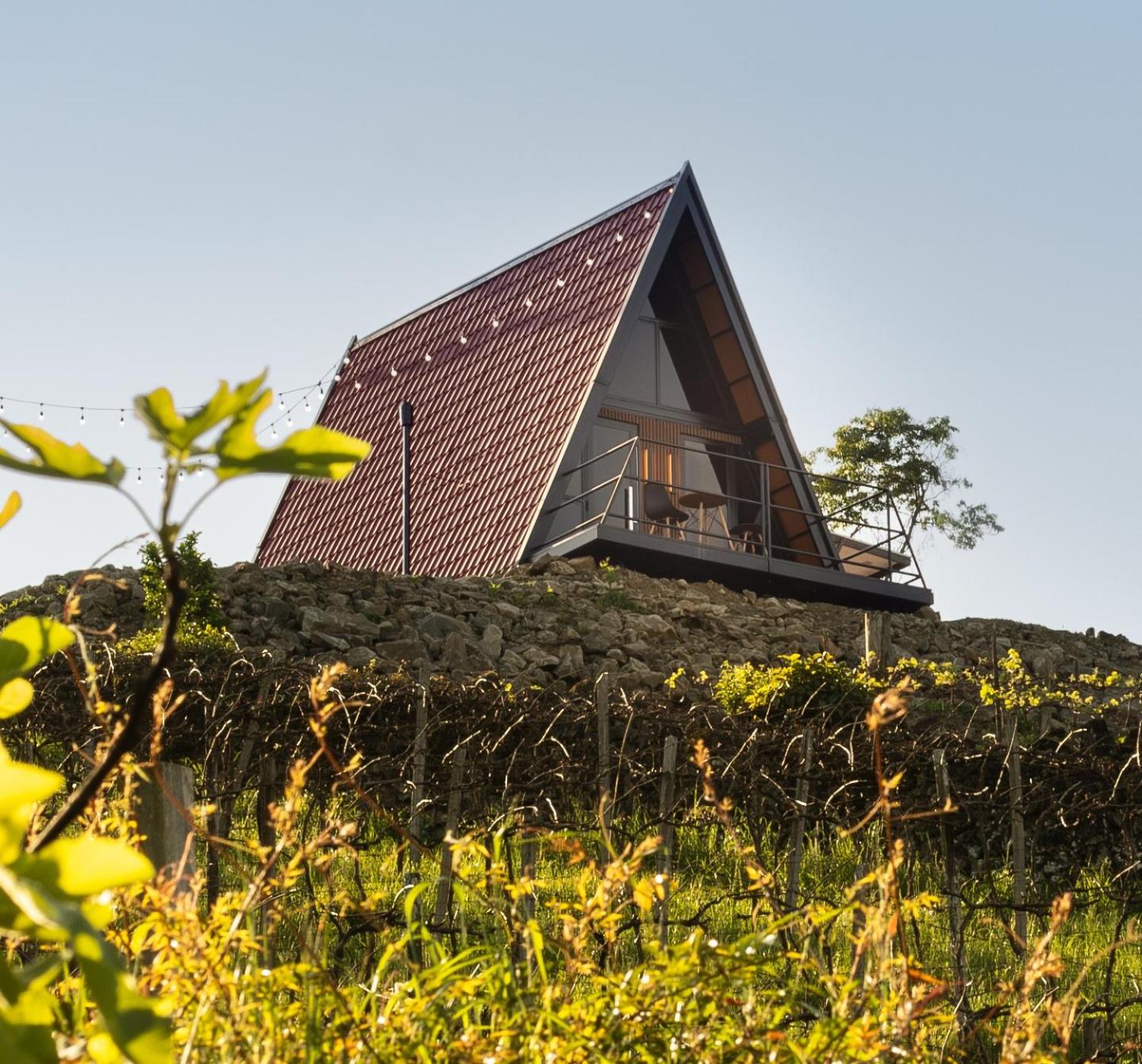 Cabanas Altaia Vinhedos Tasca photo 4