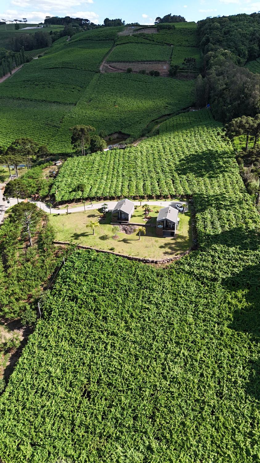 CABANAS LE VIGNE photo 1