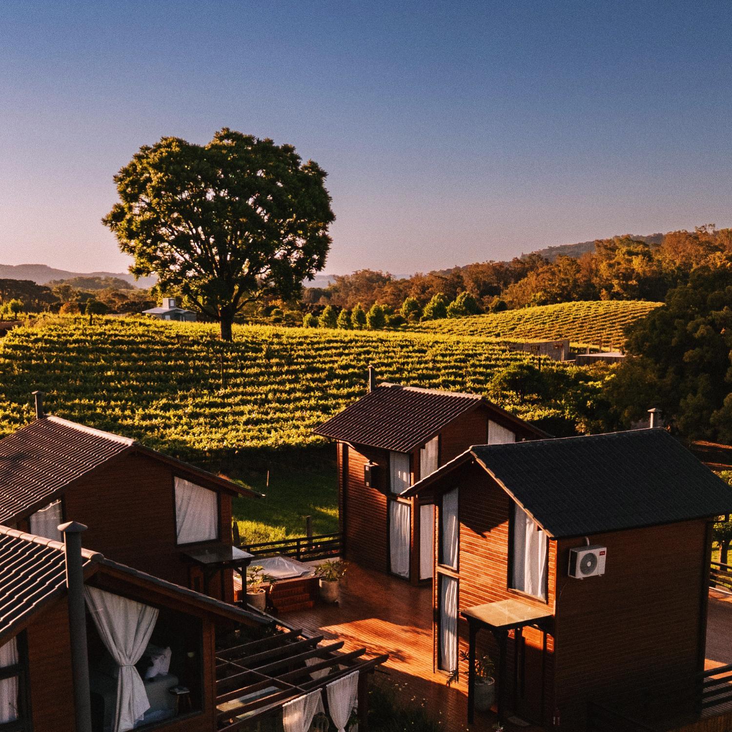 Winery Hotel - Capanna del Vale2