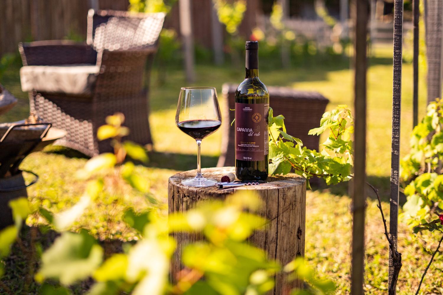 Winery Hotel - Capanna del Vale3