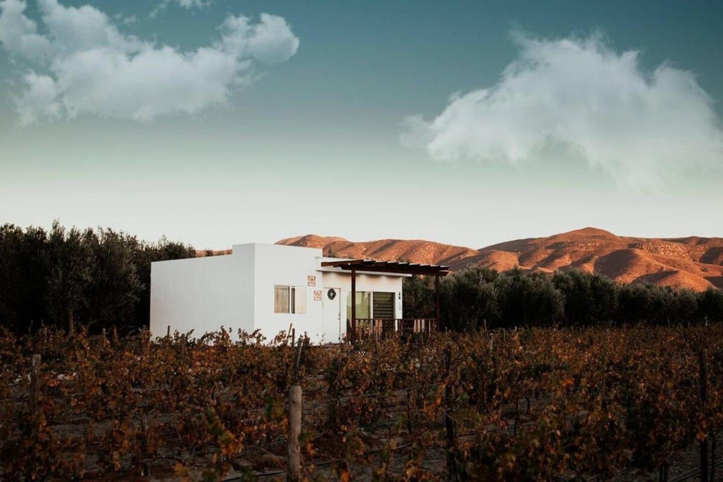 Hotel with winery - Casa Colibri Guadalupe Valley