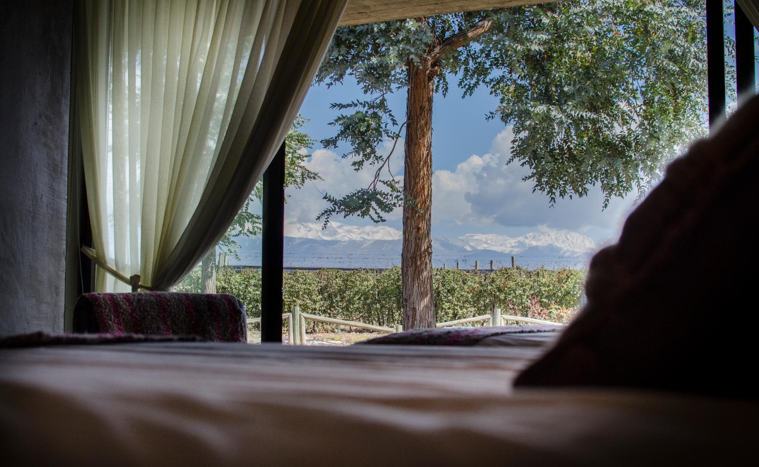 Hotel with winery - Casa de Huéspedes La Azul