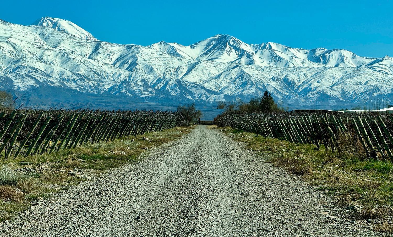 Winery Hotel - Casa de Huéspedes La Azul2