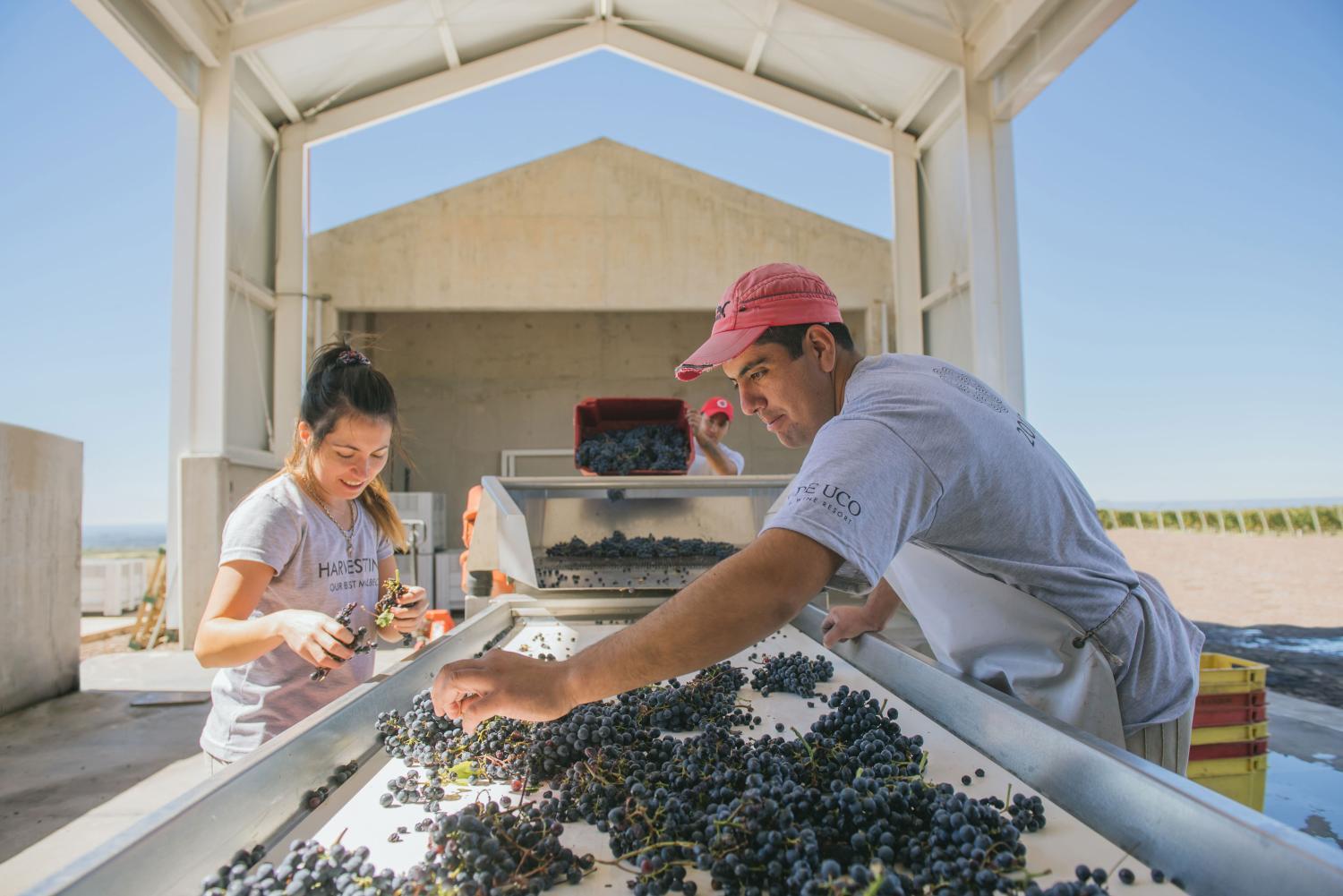 Winery Hotel - Casa de Uco Vineyards and Wine Resort4