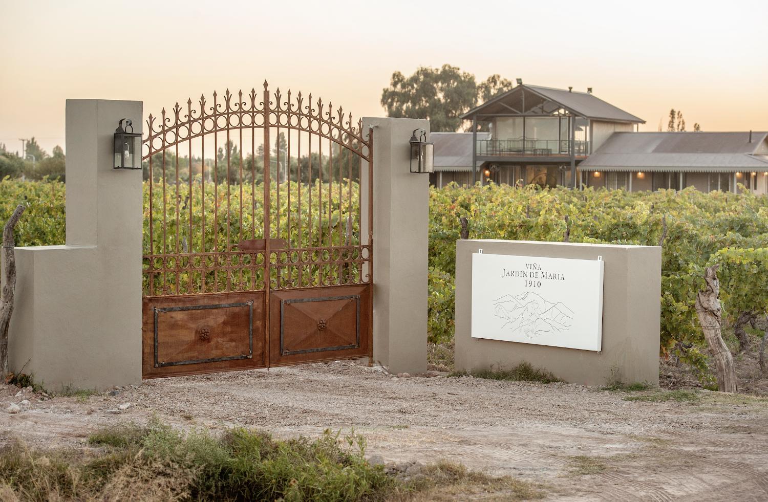Winery Hotel - Casa entre viñedo con vista a la Cordillera2