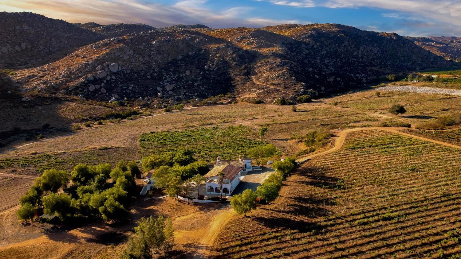 Winery Hotel - Casa Luna Viñedo1