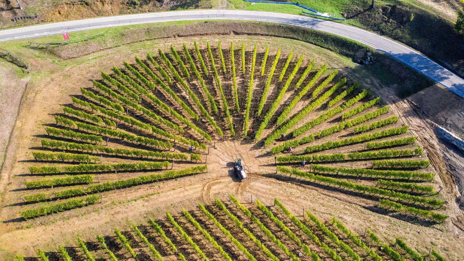 Cascina Binè photo 2