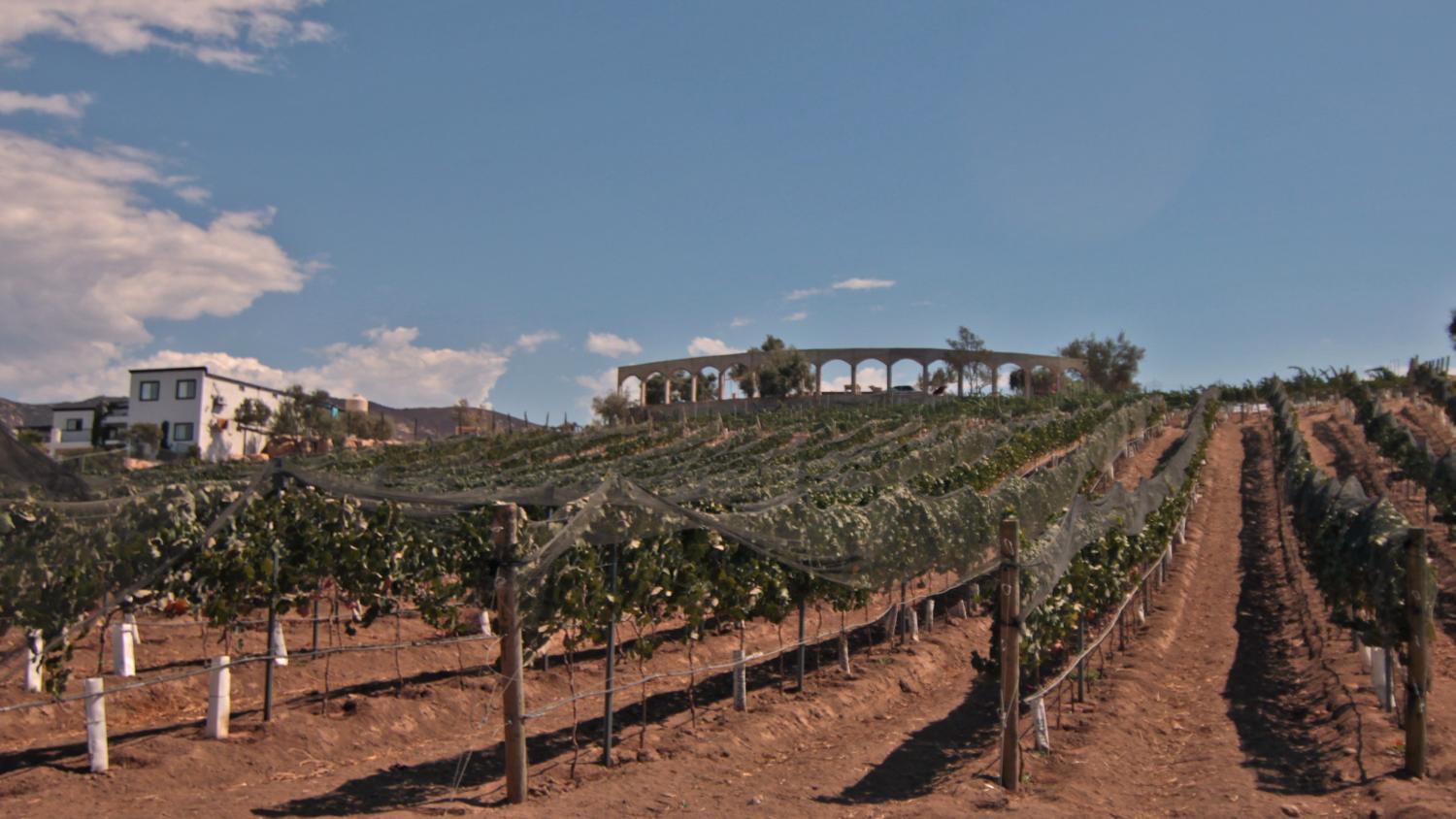 Winery Hotel - Castillo Toscana Hotel Boutique2