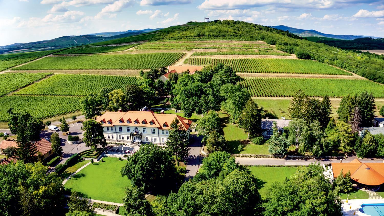 Hotel with winery - Castle Hotel Grof Degenfeld Superior