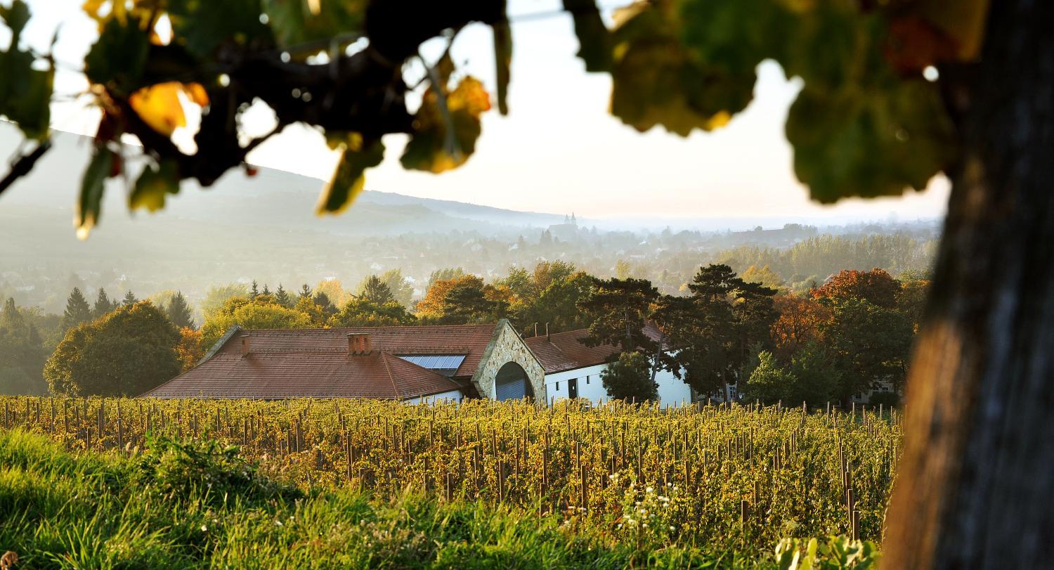 Winery Hotel - Castle Hotel Grof Degenfeld Superior4