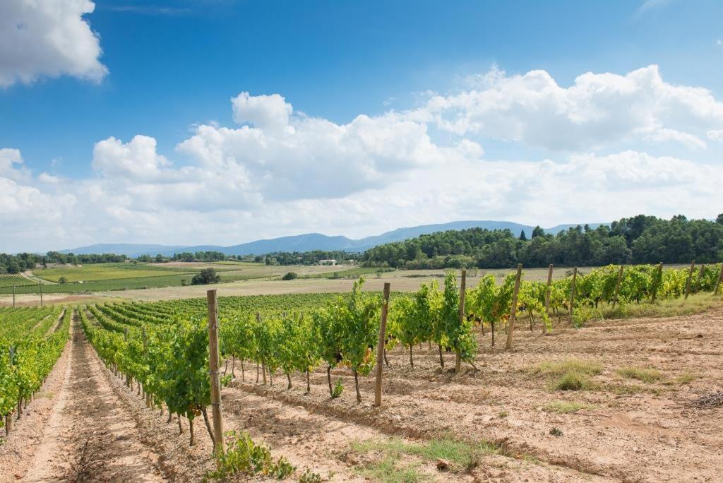Château Canet photo 2